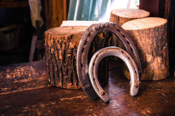 Buy used sale horseshoes in bulk